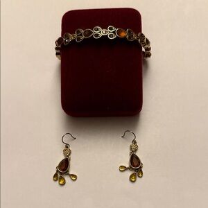 Elegant Gold and Brown Jewelry Set